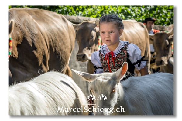 Marcel Schiegg Fotografie, Tradition, Brauchtum, Alpfahrt, Oeberefahre, Appenzell, Appenzellerland