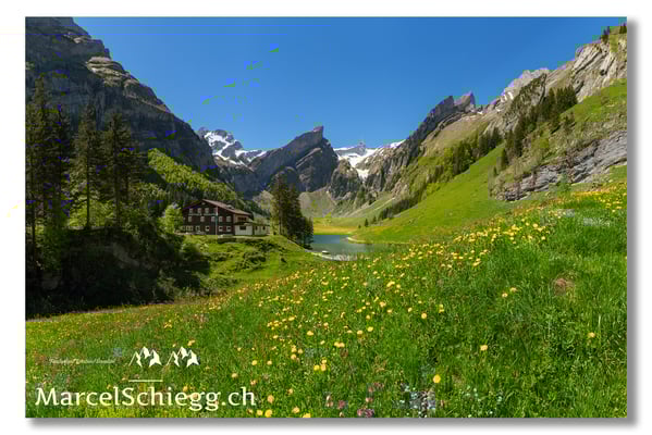 Marcel Schiegg Fotografie, Marcel Schiegg, Seealpsee, Alpstein, Appenzell, Appenzellerland