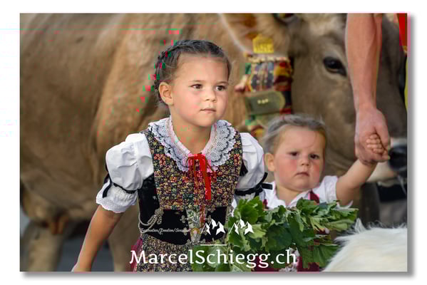 Marcel Schiegg Fotografie, Tradition, Brauchtum, Alpfahrt, Oeberefahre, Appenzell, Appenzellerland