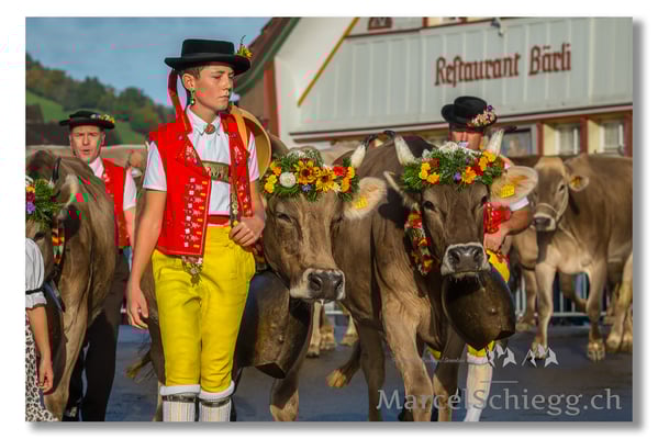 Marcel Schiegg Fotografie, Brauchtum, Tradition, Appenzell, Appenzellerland