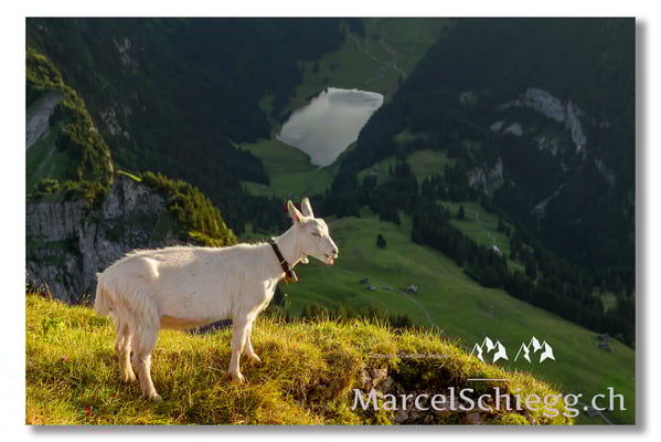 Marcel Schiegg Fotografie, Marcel Schiegg, Hoher Kasten, Sämtisersee, Alpstein