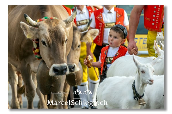 Marcel Schiegg Fotografie, Tradition, Brauchtum, Alpfahrt, Oeberefahre, Appenzell, Appenzellerland