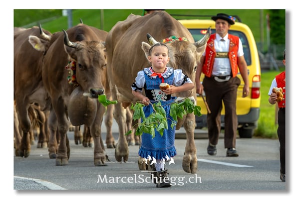 Marcel Schiegg Fotografie, Tradition, Brauchtum, Alpfahrt, Oeberefahre, Appenzell, Appenzellerland