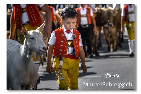 Marcel Schiegg Fotografie, Tradition, Brauchtum, Alpfahrt, Oeberefahre, Appenzell, Appenzellerland