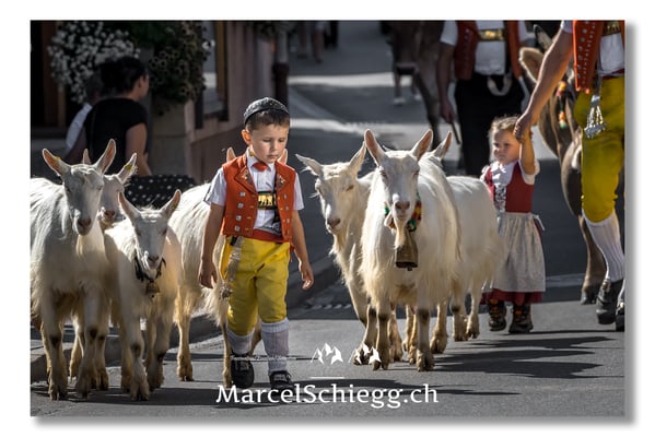 Marcel Schiegg Fotografie, Tradition, Brauchtum, Alpfahrt, Oeberefahre, Appenzell, Appenzellerland