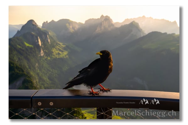 Marcel Schiegg Fotografie, Marcel Schiegg, Hoher Kasten, Alpstein