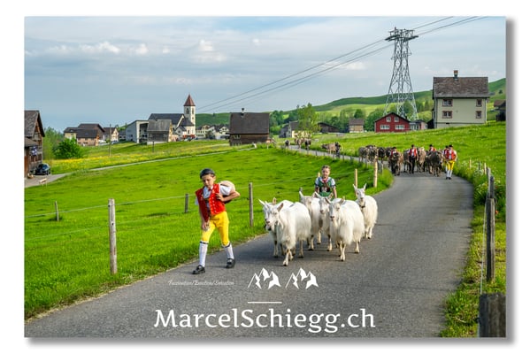 Marcel Schiegg Fotografie, Tradition, Brauchtum, Alpfahrt, Oeberefahre, Appenzell, Appenzellerland, Brülisau