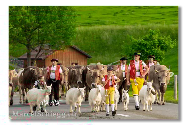 Marcel Schiegg Fotografie, Tradition, Brauchtum, Alpfahrt, Oeberefahre, Appenzell, Sämtis