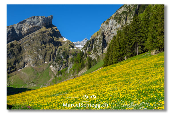 Marcel Schiegg Fotografie, Marcel Schiegg, Seealpsee, Alpstein, Appenzell, Appenzellerland