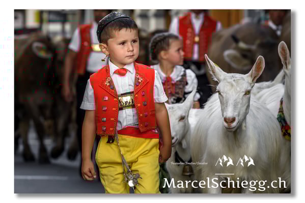 Marcel Schiegg Fotografie, Tradition, Brauchtum, Alpfahrt, Oeberefahre, Appenzell, Appenzellerland