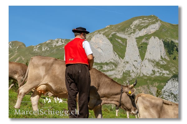 Marcel Schiegg Fotografie, Tradition, Brauchtum, Alpfahrt, Oeberefahre, Appenzell, Appenzellerland, Öberefahre, Alpstein