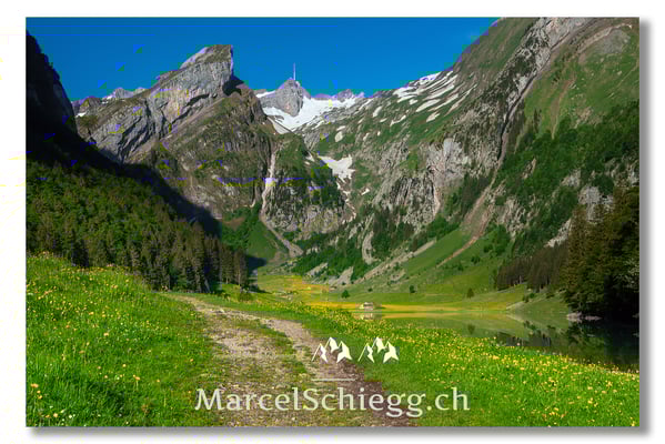 Marcel Schiegg Fotografie, Marcel Schiegg, Seealpsee, Alpstein, Appenzell, Appenzellerland