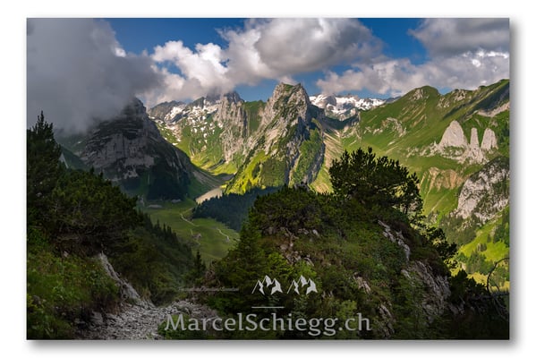 Staubern/Bollenwees Art.-Nr. MZ7-1034