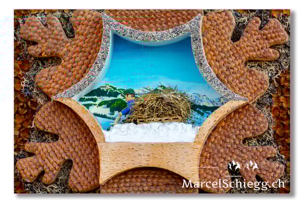 Silversterchlausen Art.-Nr. DSC-2547