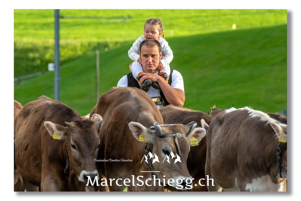 Marcel Schiegg Fotografie, Tradition, Brauchtum, Alpfahrt, Oeberefahre, Appenzell, Appenzellerland