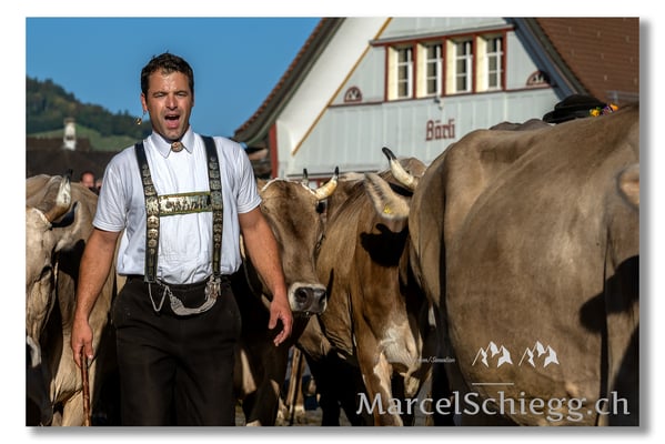 Marcel Schiegg Fotografie, Brauchtum, Tradition, Appenzell, Appenzellerland