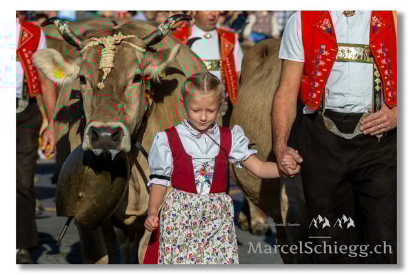 Marcel Schiegg Fotografie, Brauchtum, Tradition, Appenzell, Appenzellerland