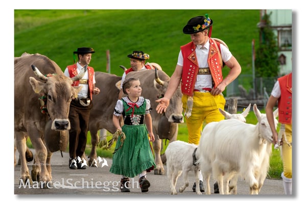 Marcel Schiegg Fotografie, Tradition, Brauchtum, Alpfahrt, Oeberefahre, Appenzell, Sämtis