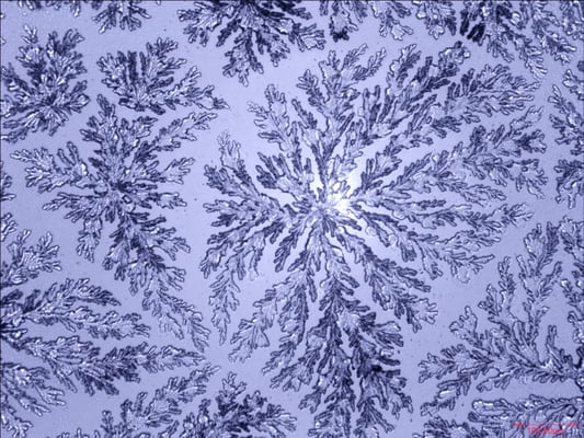 Nußdorfer Tiefenquelle