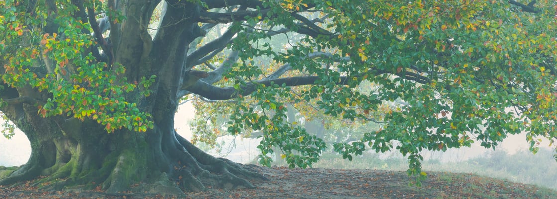 Landschapsfotografie