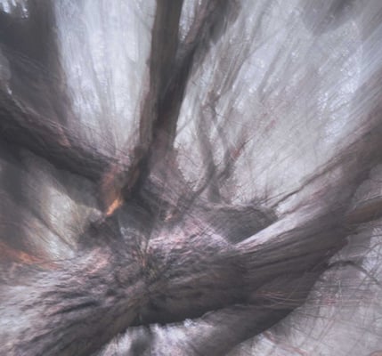 Creatieve fotografie