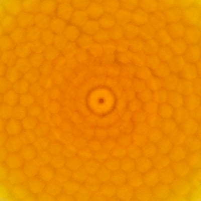 Visie achter de foto