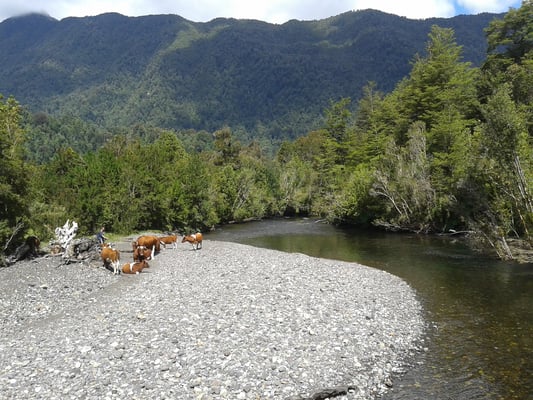 Comienzo del Parque Nacional Hornopirén