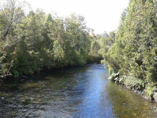 Comienzo del Parque Nacional Hornopirén