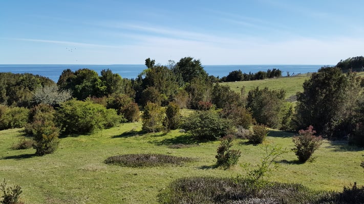 Camino a cuevas del Poe (ruta costera)