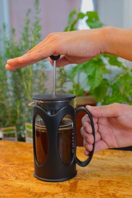 フレンチプレス　レインボーコーヒー