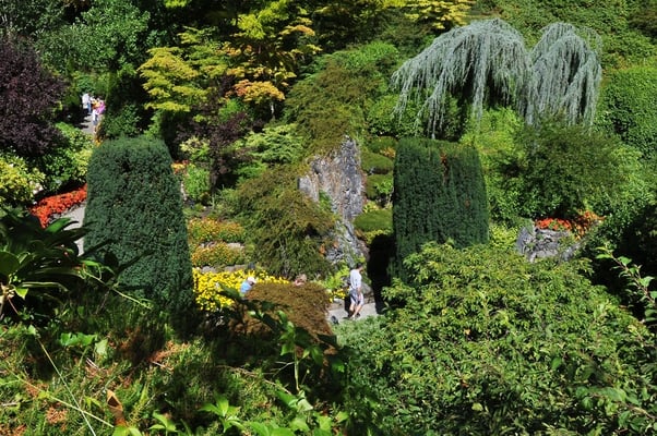 The Butchard Gardens