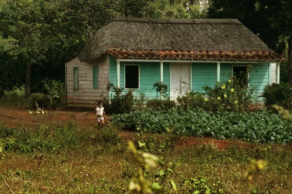 Cuba | Valle de Viñales