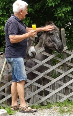 Joschi mit Eseln