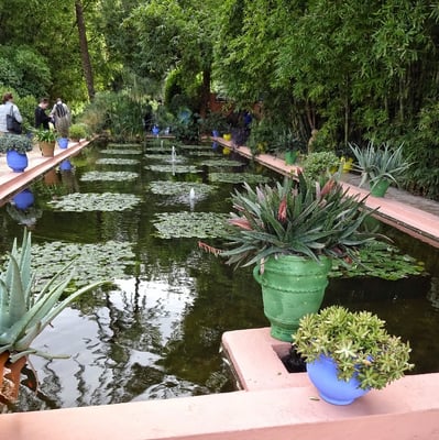 Majorelle Garten