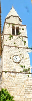 Bewachsener Kirchturm