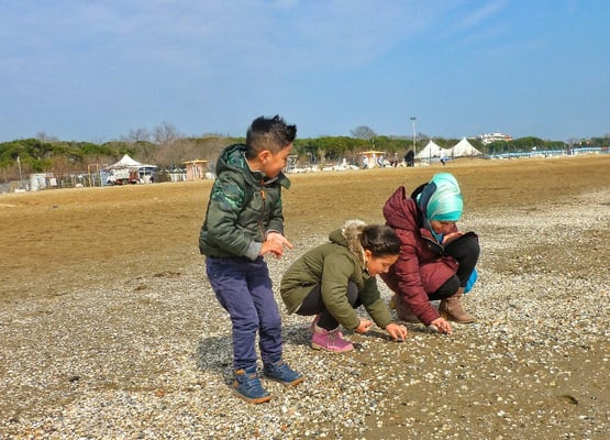 Muschelsuchen am Lido