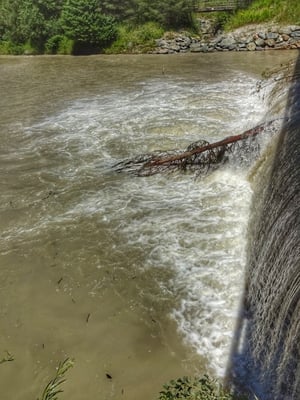 Hochwasser bei der Drau