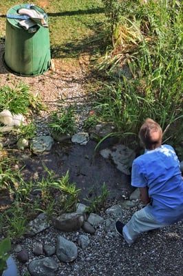 Georg macht es schon besser