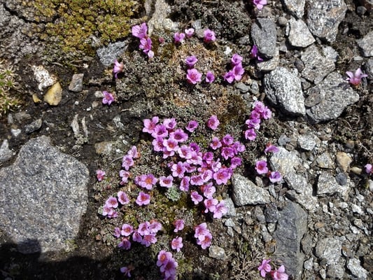 Meine Lieblingsfarbe