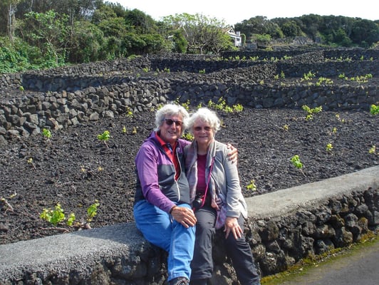 Interessante Rebstöcke 