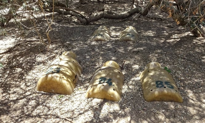 “Wohnung“ der Pinguine