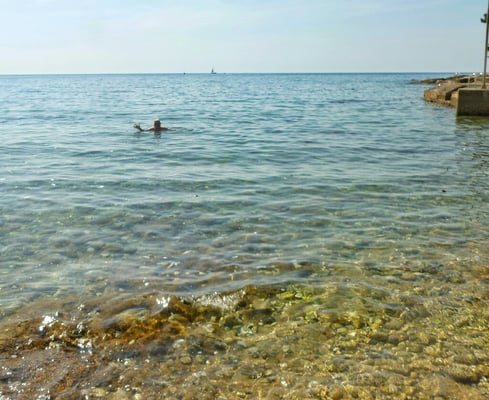 Der erste Schwimmer! Saukalt!