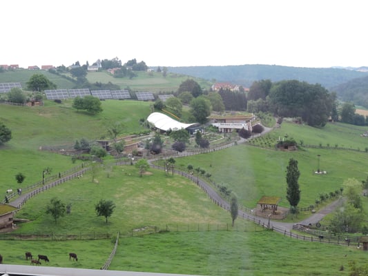 essbarer (!) Tiergarten...