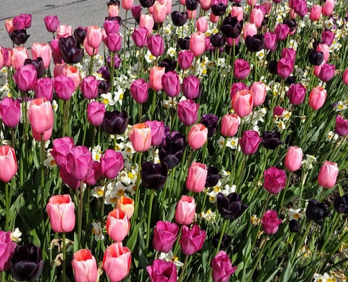 Meine Lieblingsfarben