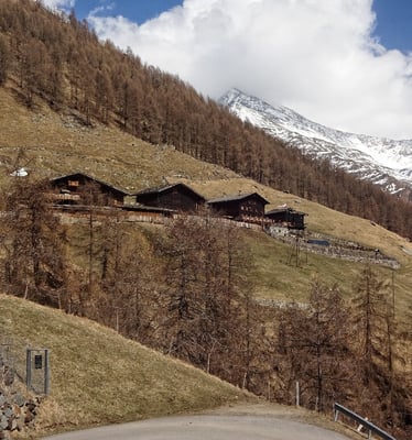 Die 4 Finailhöfe von der Zufahrt aus