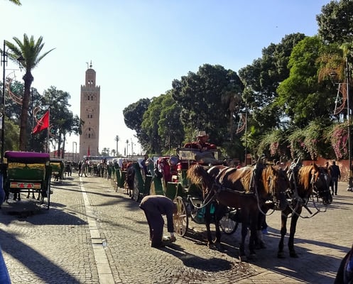 Kutschen vor der großen Moschee