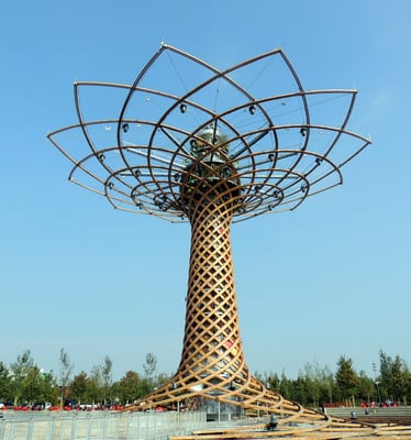 Tree of Life bei Tag