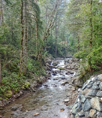 Bergauf immer entlang der Vellach