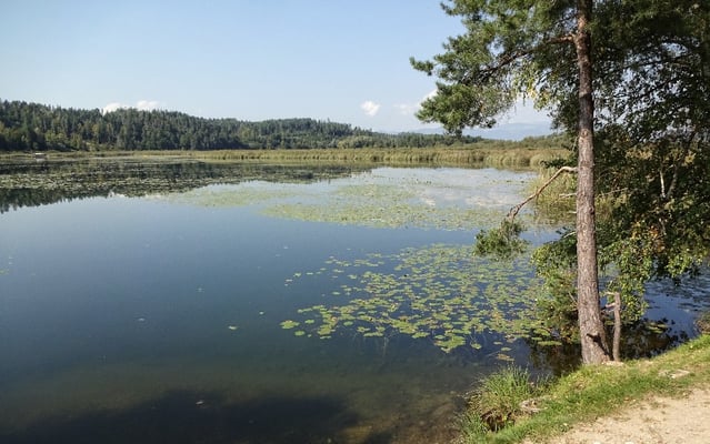 Gösselsdorfer See kurz vor Bad Eisenkappl