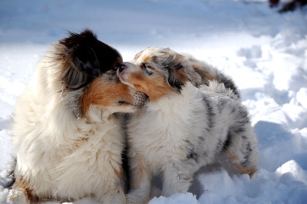 Lia mit Mama Shannon